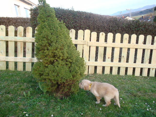 was ist das?