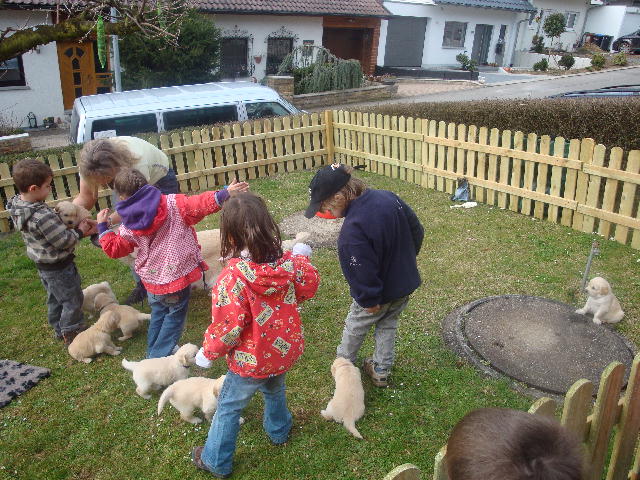 Kindergarten im Welpengarten