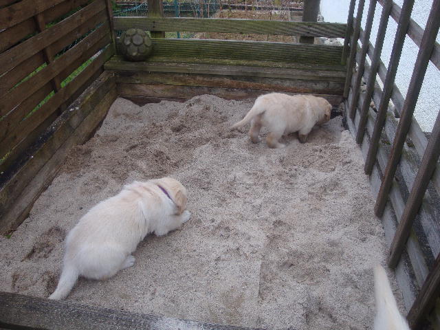 im Sandkasten buddeln