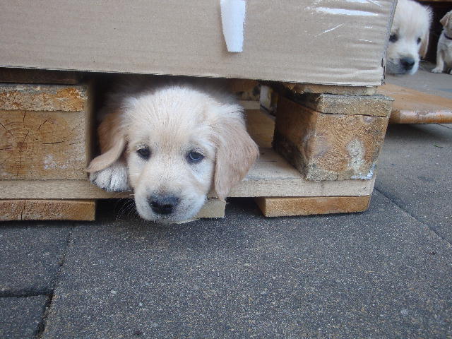 Hallo, hier bin ich