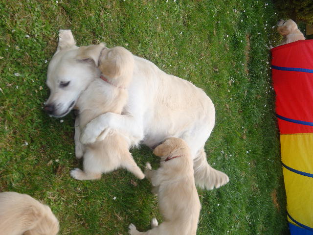 orange und rot mit ihrer Mama