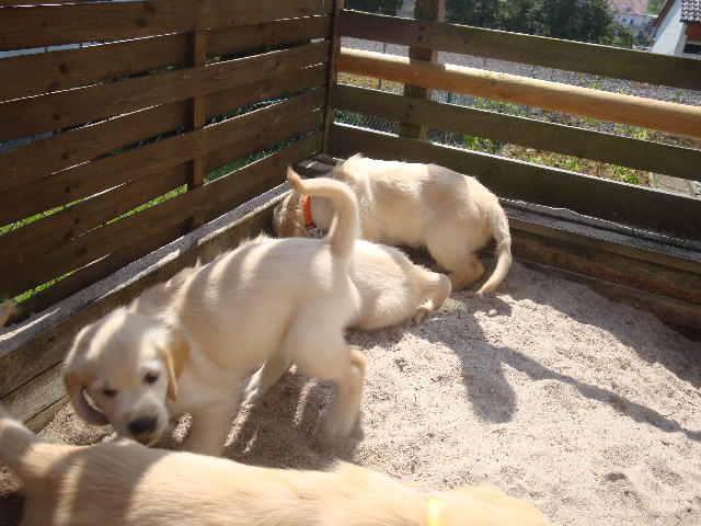 im Sandkasten