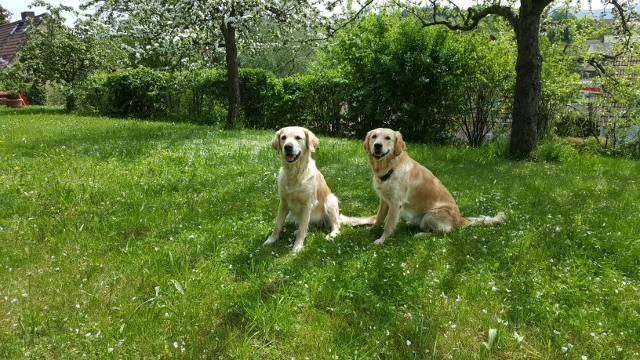 Amy und Elli