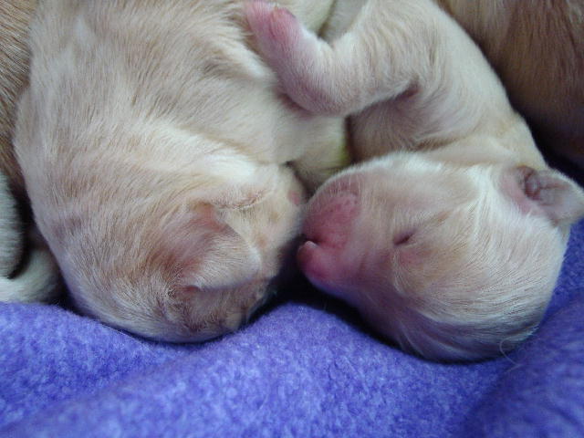 beim kuscheln