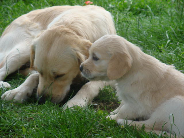 groe Schwester, kleiner Bruder