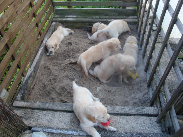 im Sandkasten