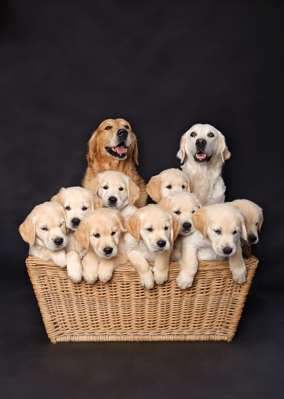 Familienbild