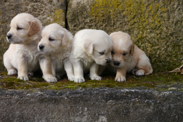 Gruppenbild