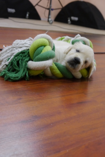 Pause beim Fotoshooting