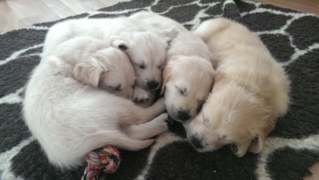 beim kuscheln