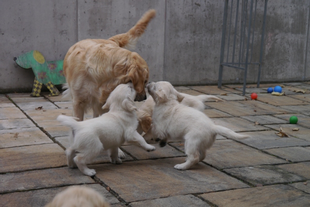 spielen mit der Mama