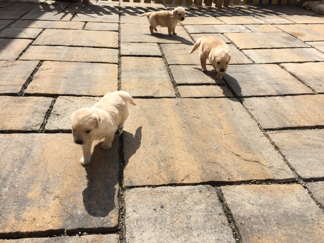 erste vorsichtige Schritte im Freien