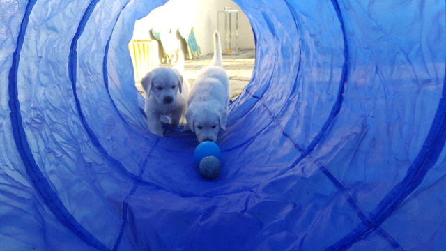 im Tunnel