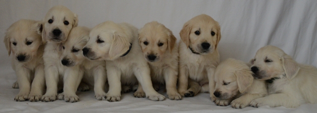 Gruppenfoto