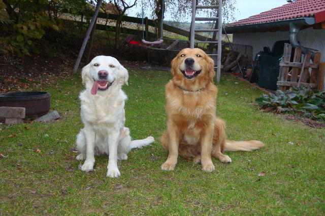 Galen und Shila