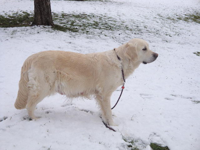 Shila am 21.02.2010
